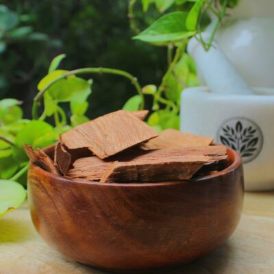 Vijay Sar Chaal | Pterocarpus Marsupium