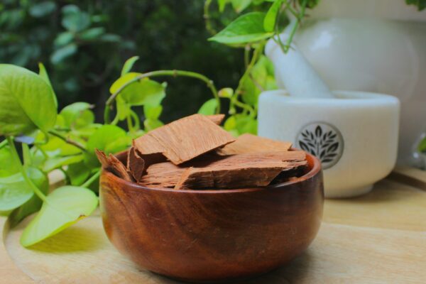 Vijay Sar Chaal | Pterocarpus Marsupium