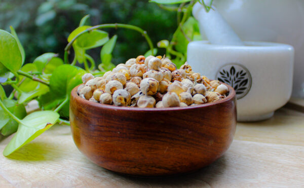 PSX_20240808_100413 Paneer Dodi | Paneer Doda | Paneer Fruit | Paneer Phal | Withania Coagulans