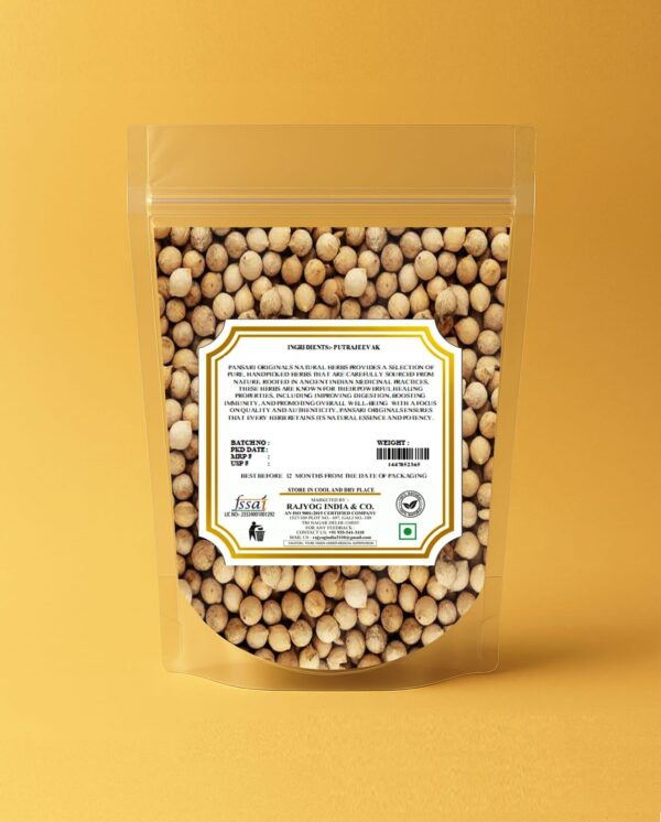 Putrajeevak Beej | Jiya Pota Seeds | Putra Jivak Beej | Putra Jeevak Beej