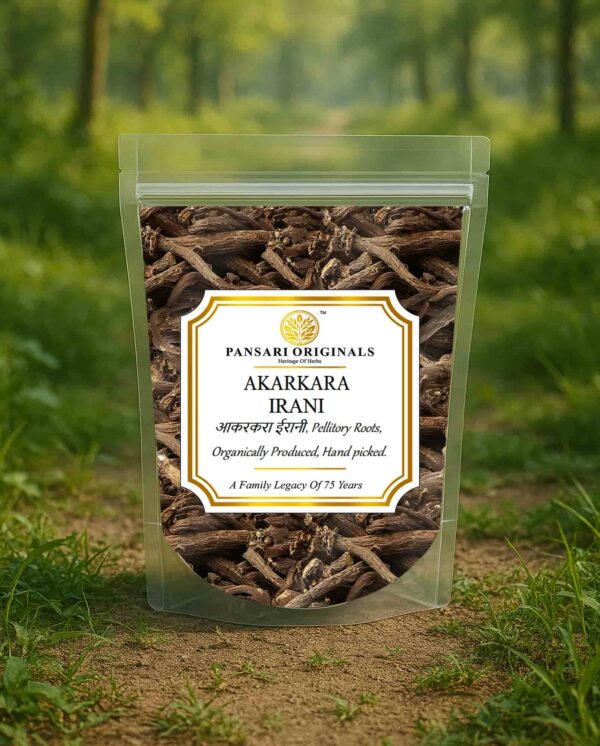 AKARKARA IRANI front trans j Akarkara Irani Roots | Anacyclus pyrethrum | Pellitory Roots