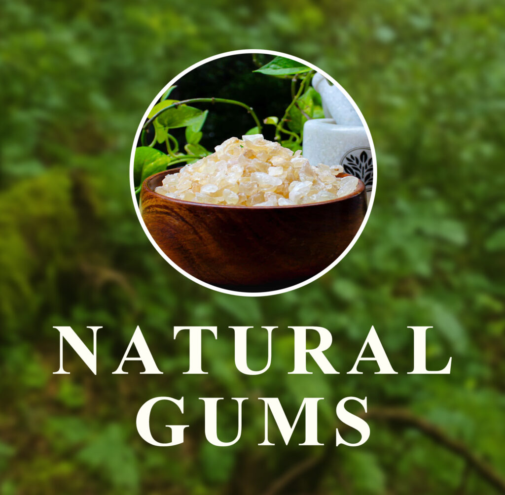 gums and resins, natural gums category